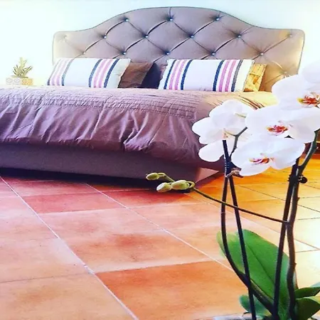 Apartment In Sorrento Near Piazza Tasso Sorrento